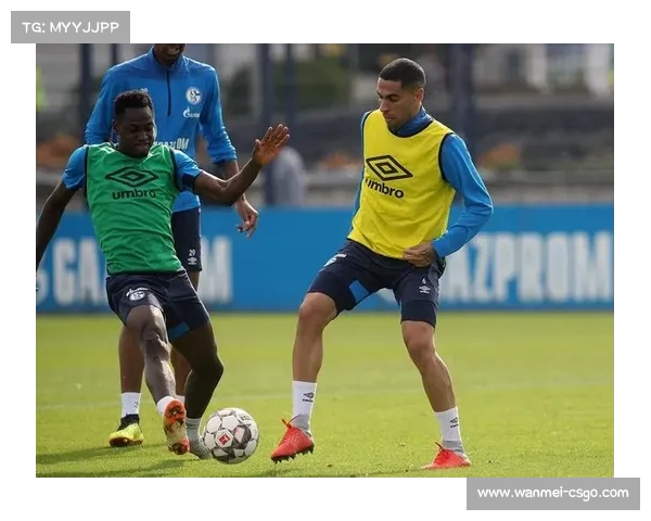 暴雨影响主场训练德国队启用备用场地全力备战