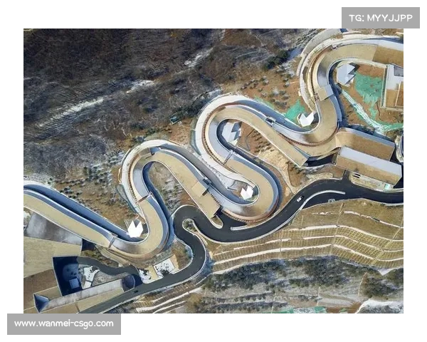 钢架雪车混合团体入奥:新赛制下的战术变革与机遇